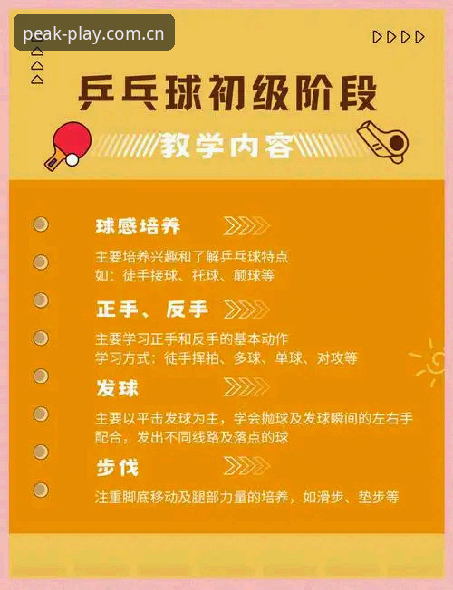 半岛体育会员全面解析：从入门到精通的实用指南