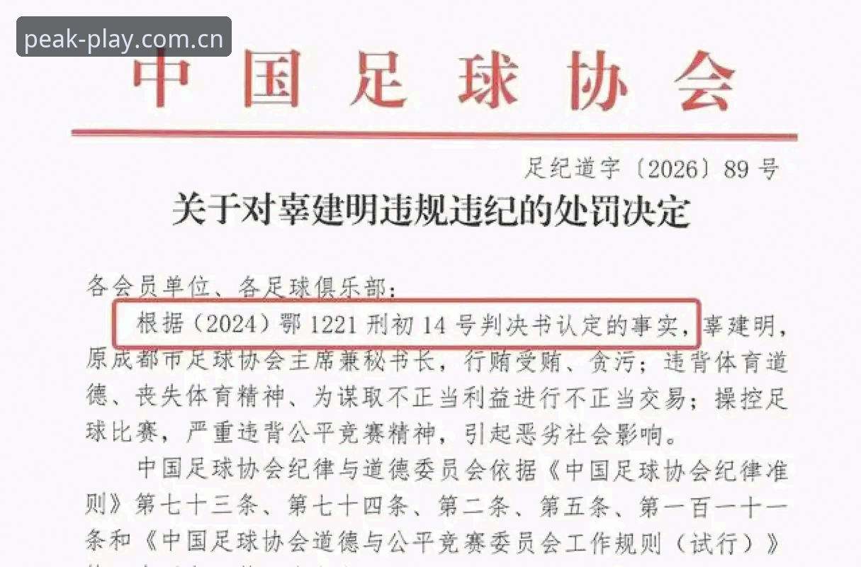 半岛体育好用吗 半岛综合体育深度评测:足协第三批禁足名单全面解读,65人受罚背后的行业警示